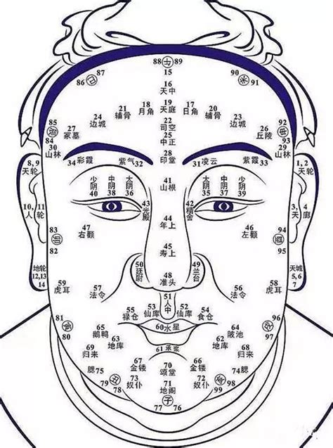 面相分析图|面相图解,面相分析,怎么看面相